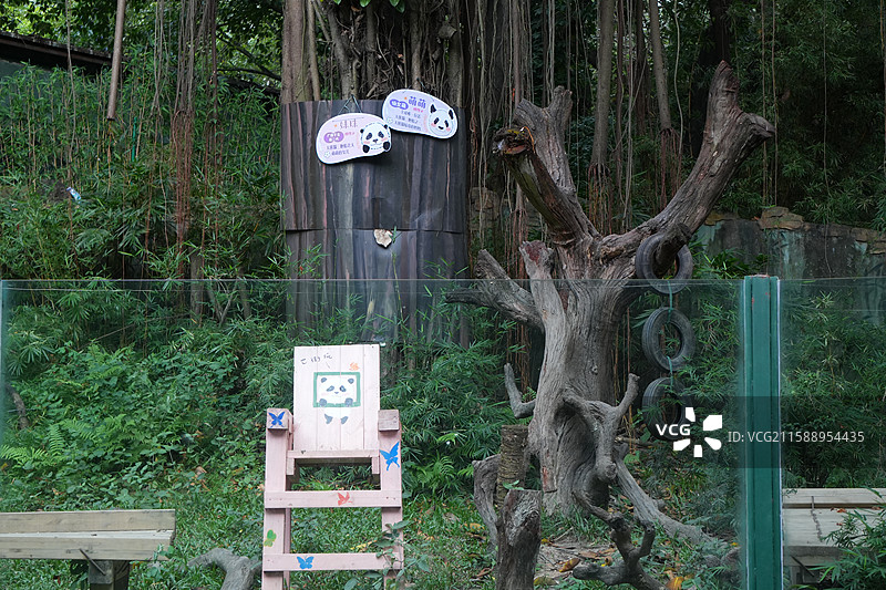 大熊猫妹猪外场椅子图片素材