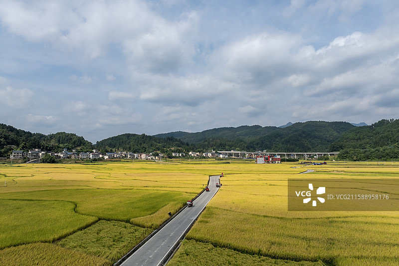贵州遵义乡村秋天稻田收割航拍图片素材