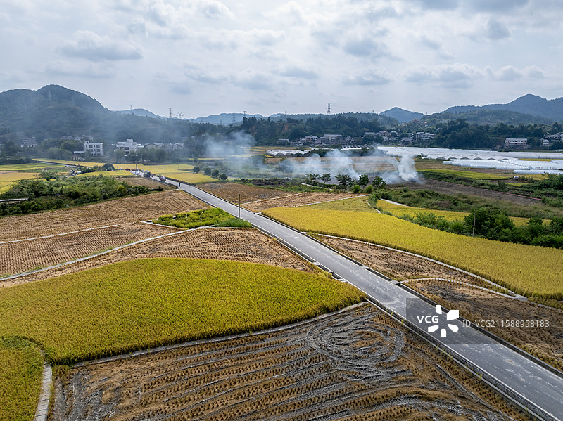 贵州遵义乡村秋天稻田收割航拍图片素材