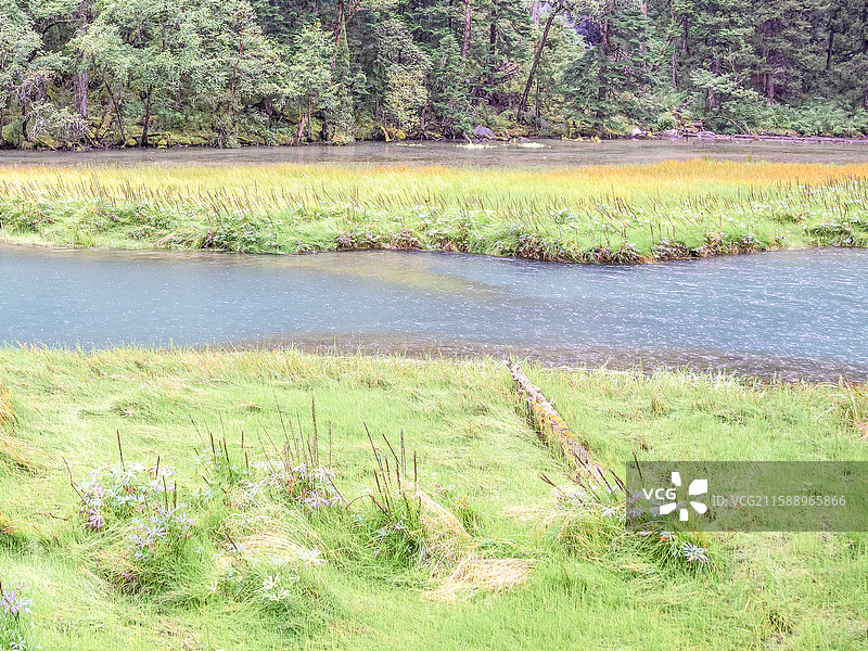 八月下旬，中国九寨沟天鹅海雨中风景图片素材