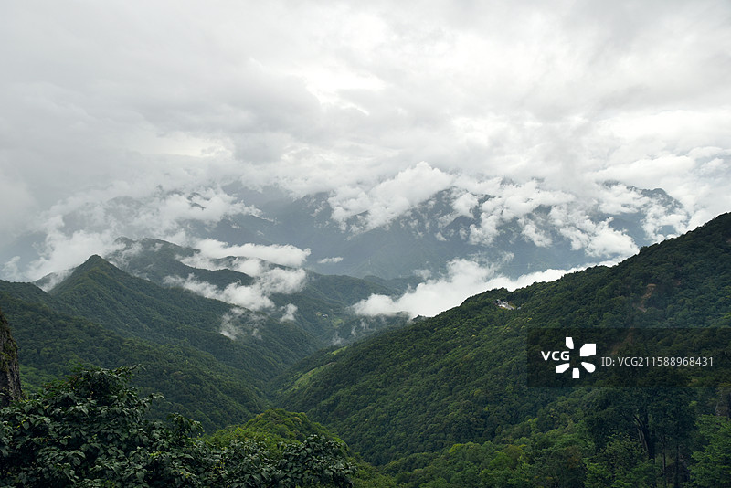 陕西岚皋南宫山国家森林公园图片素材