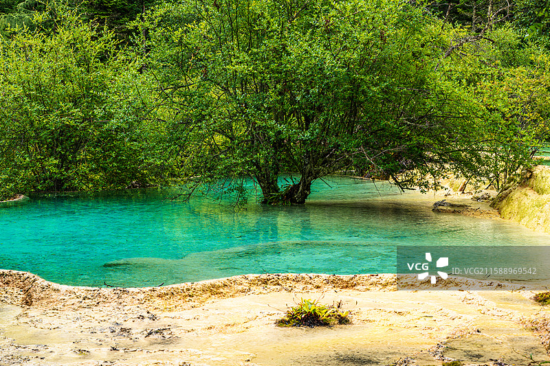 黄龙风景区争艳池，阿坝，四川，中国图片素材