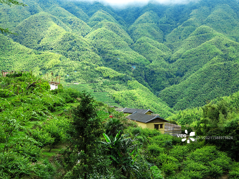 广东信宜马安竹海景区图片素材