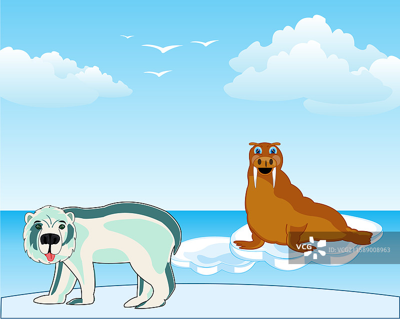 北极风光，海象与北极熊同处其中图片素材