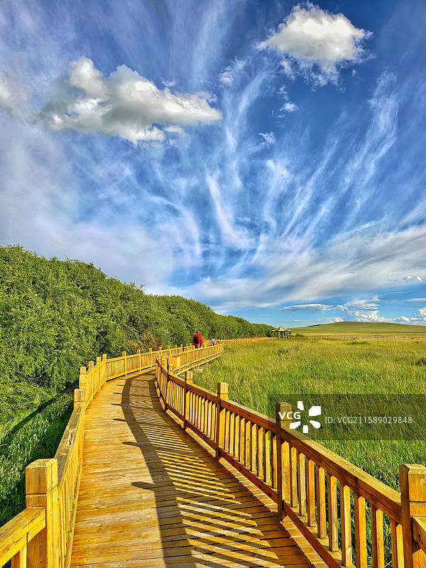 草原上栈道 布林泉图片素材