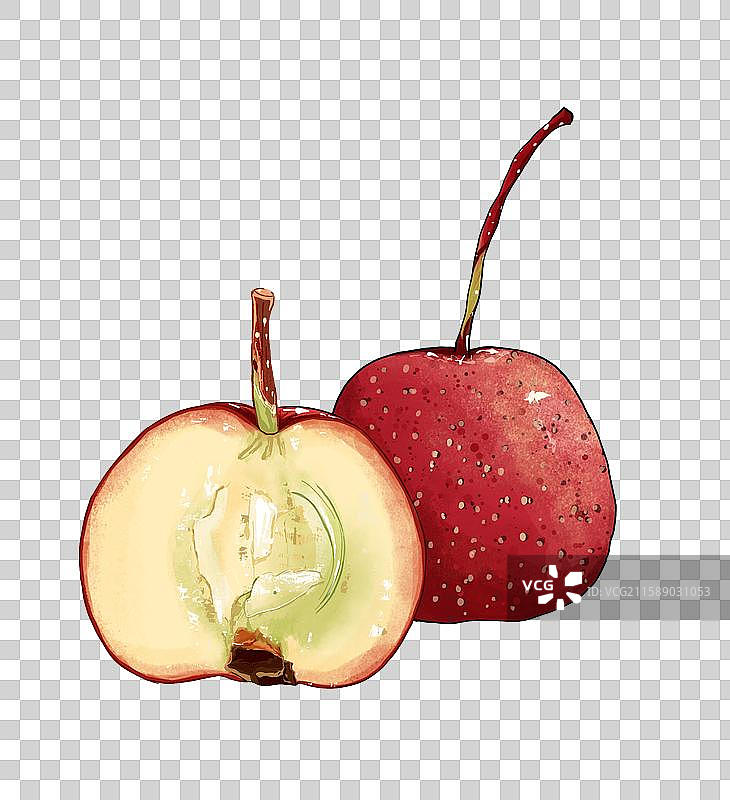 一组山楂插画免扣素材图片素材