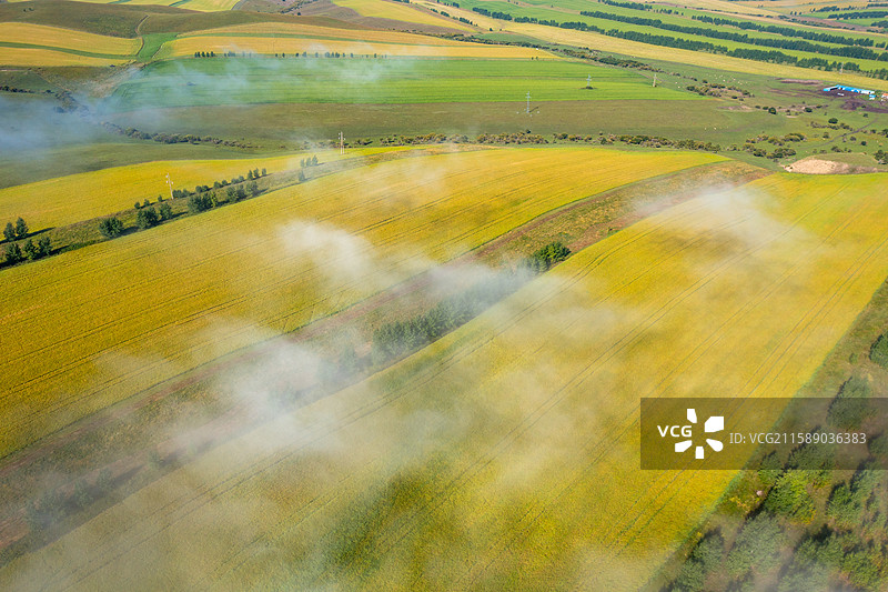 蒙古阿尔山北七仙湖附近的晨雾和金色田野图片素材
