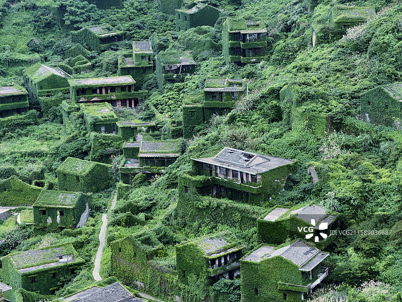 绿野荒村 ——拍摄于浙江嵊泗列岛图片素材