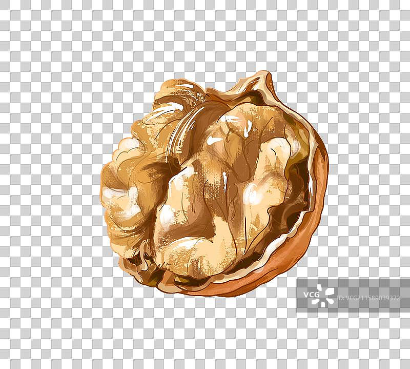 核桃插画免扣元素图片素材