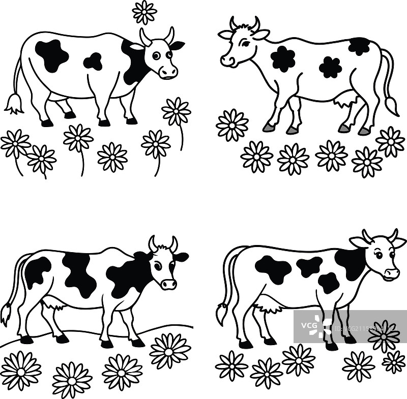 黑白牛线条艺术涂色页合集图片素材