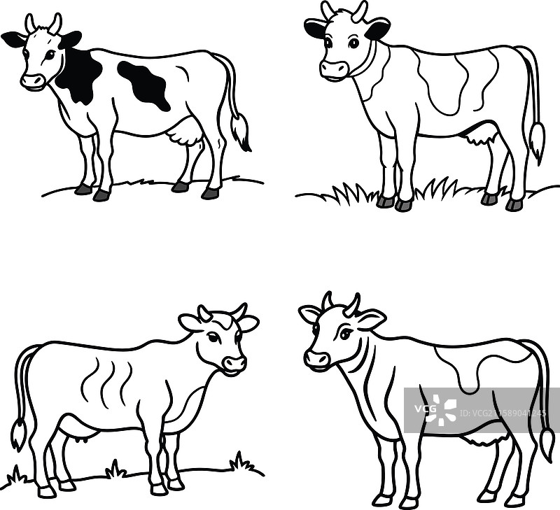 黑白牛线条艺术涂色页套装图片素材