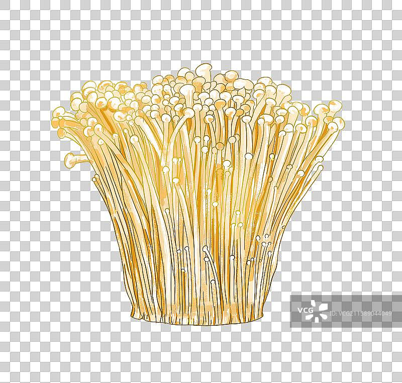 金针菇插画免扣元素图片素材