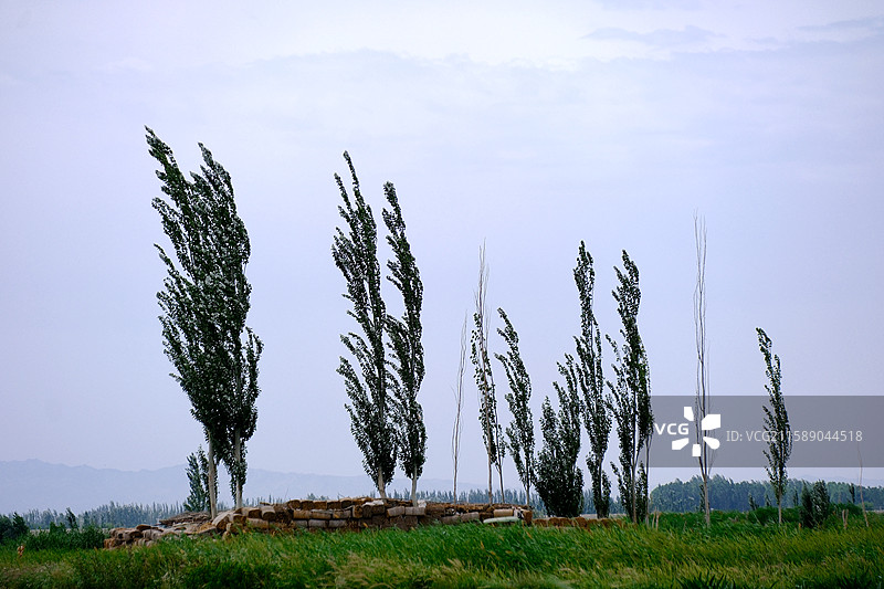 夏日新疆巴音郭楞博湖县塔温觉肯乡克日木哈尔村田园景色图片素材