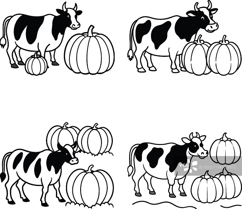 黑白牛线条艺术涂色页套装图片素材