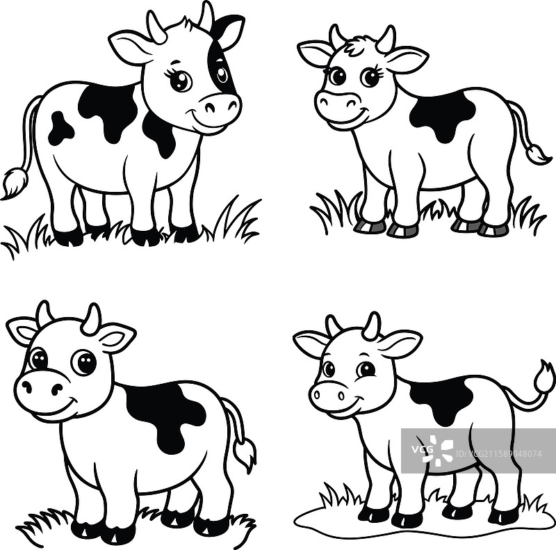 黑白牛线条艺术涂色页套装图片素材