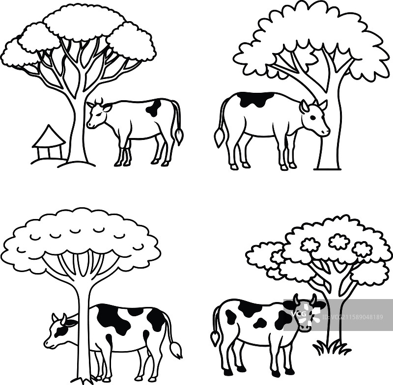 黑白牛线条艺术涂色页套装图片素材