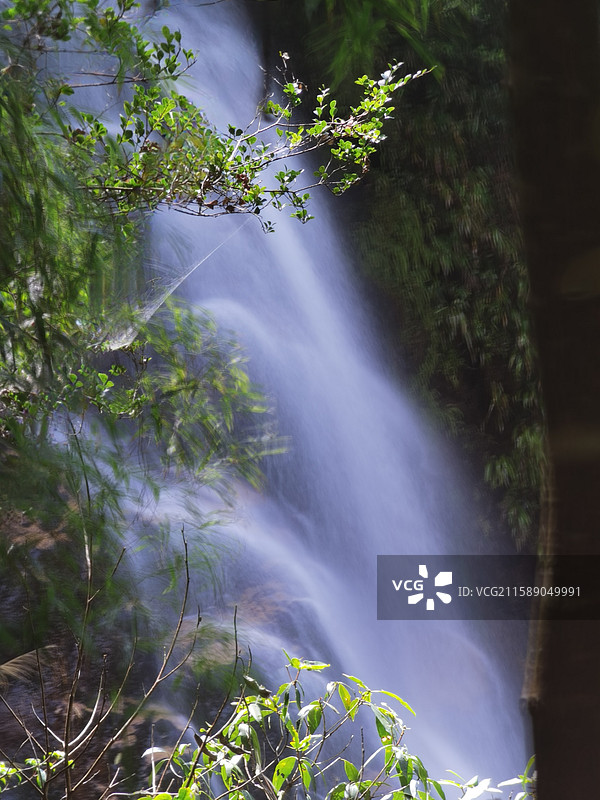 南岭国家森林公园里的瀑布图片素材