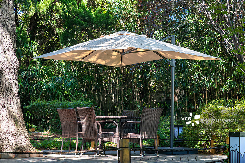 青岛八大关独有景观图片素材