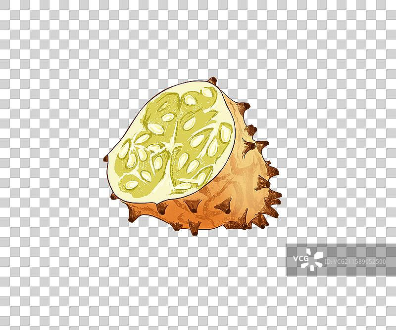 火参果插画免扣素材图片素材