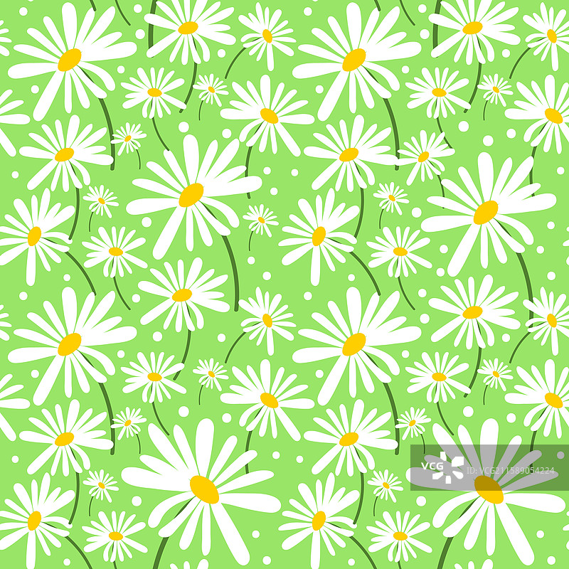 无缝雏菊和洋甘菊花卉图案图片素材