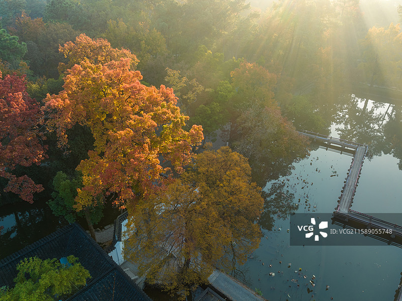 苏州天平山湖畔，乌桕红叶映水，阳光洒落，湖面倒影美不胜收。图片素材