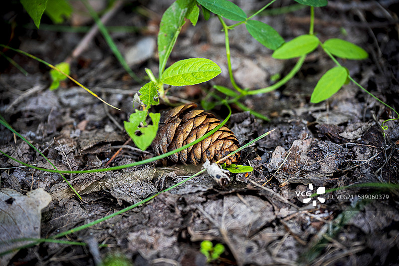 站起来，别躺平图片素材