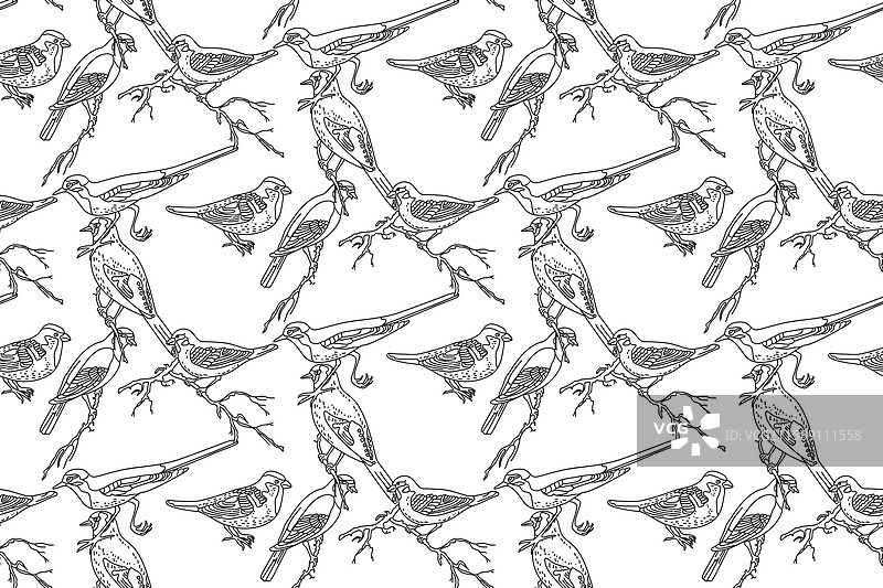 手绘花园鸟类的线条艺术无缝图案图片素材