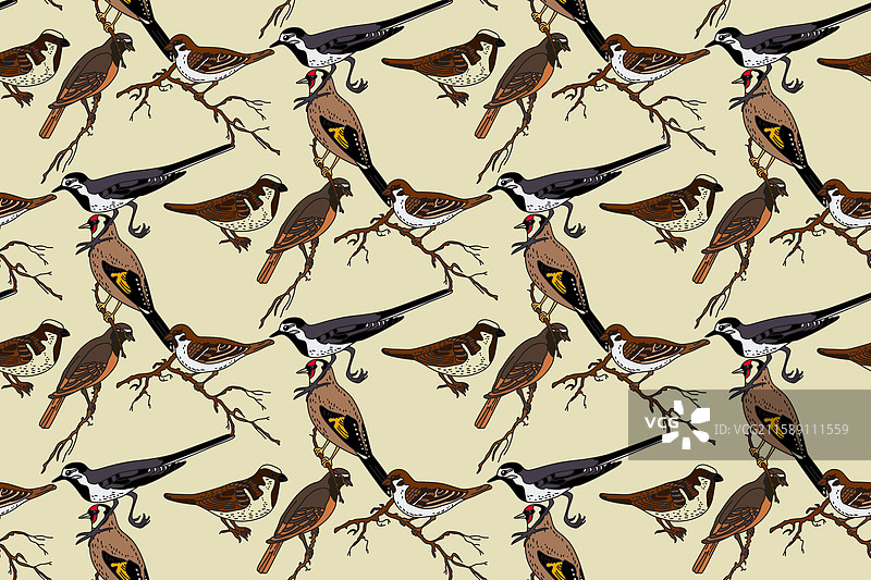 植物抽象无缝图案与花园图片素材