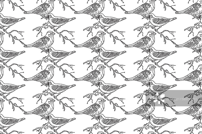 手绘花园鸟类的线条艺术无缝图案图片素材