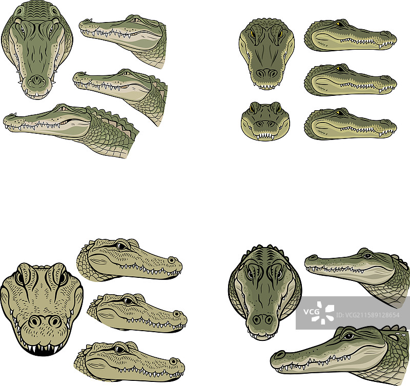 可爱的鳄鱼艺术作品图片素材