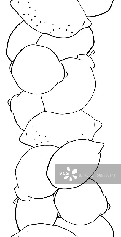 柠檬柑橘类水果无缝垂直边框图片素材