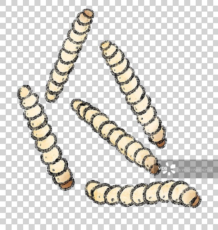 云南美食国风插画-竹虫图片素材