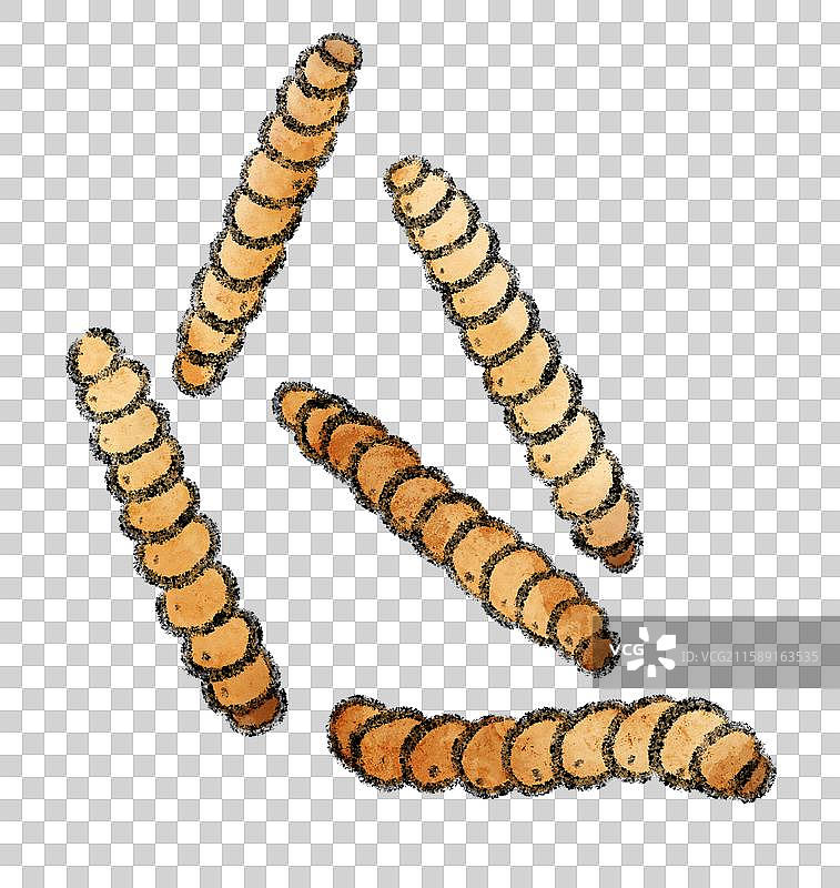 云南美食国风插画-竹虫图片素材