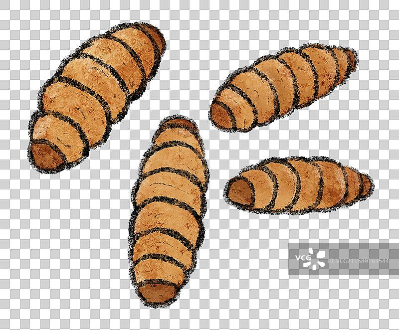 云南美食国风插画-蚕蛹图片素材