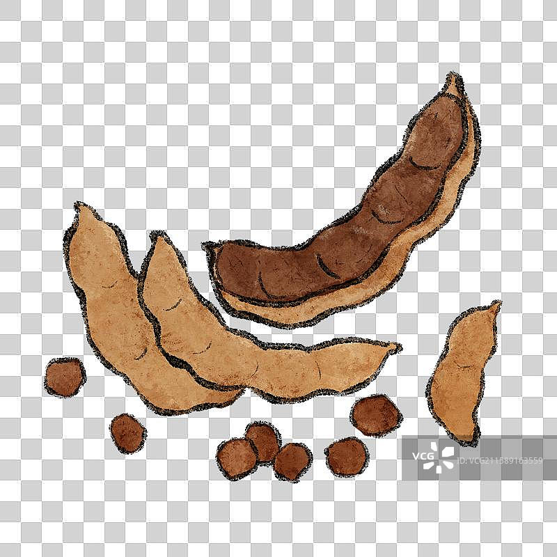 云南美食国风插画-酸角图片素材