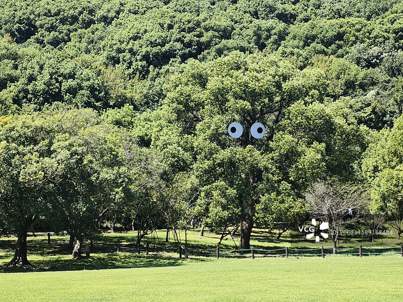上方山森林公园图片素材