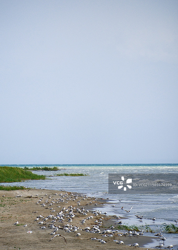夏日新疆巴音郭楞和硕县博斯腾湖天空湖水建筑快艇飞鸟风景图片素材
