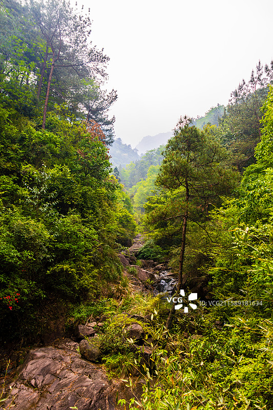 大奇山国家森林公园风光图片素材