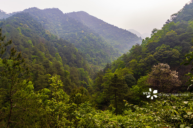 大奇山国家森林公园风光图片素材