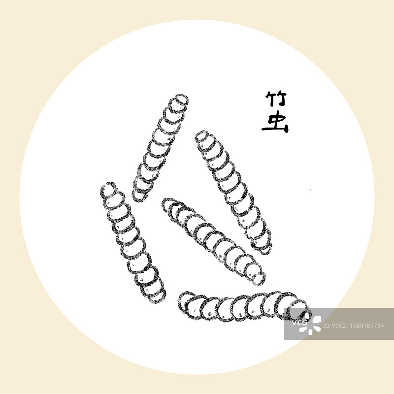 云南美食国风插画-竹虫图片素材