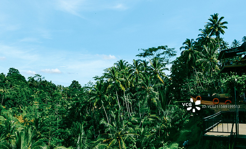 巴厘岛｜德格拉朗梯田图片素材