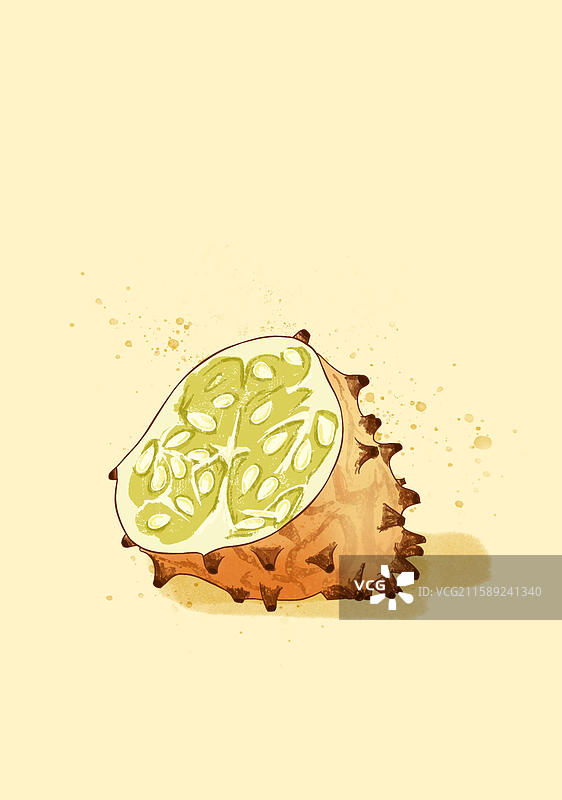 火参果插画海报图片素材