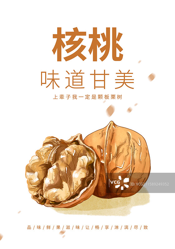 核桃插画海报设计模板图片素材