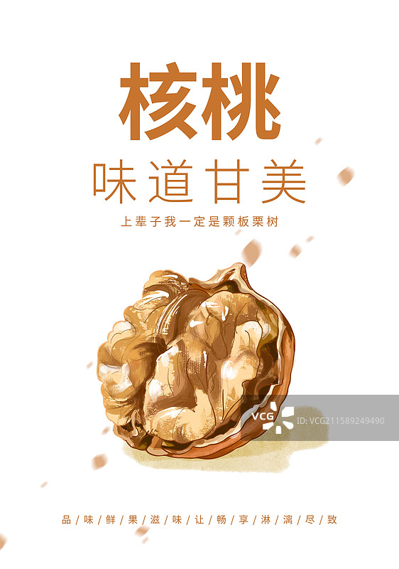 核桃插画海报设计模板图片素材