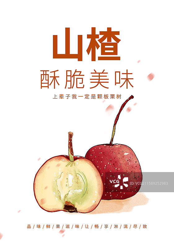 一组山楂插画海报设计模板图片素材