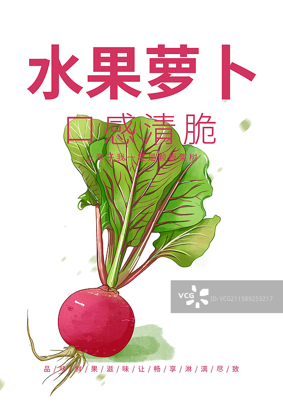 有叶子的红色萝卜插画海报设计模板图片素材