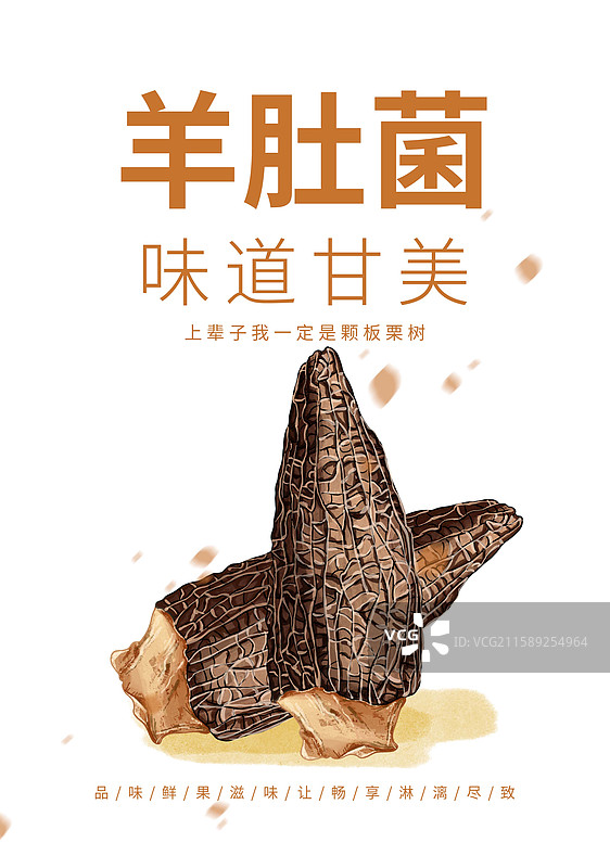 羊肚菌插画海报设计模板图片素材