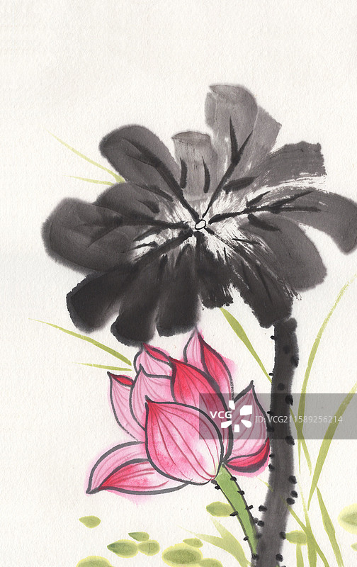 水墨荷花荷叶国画插画图片素材