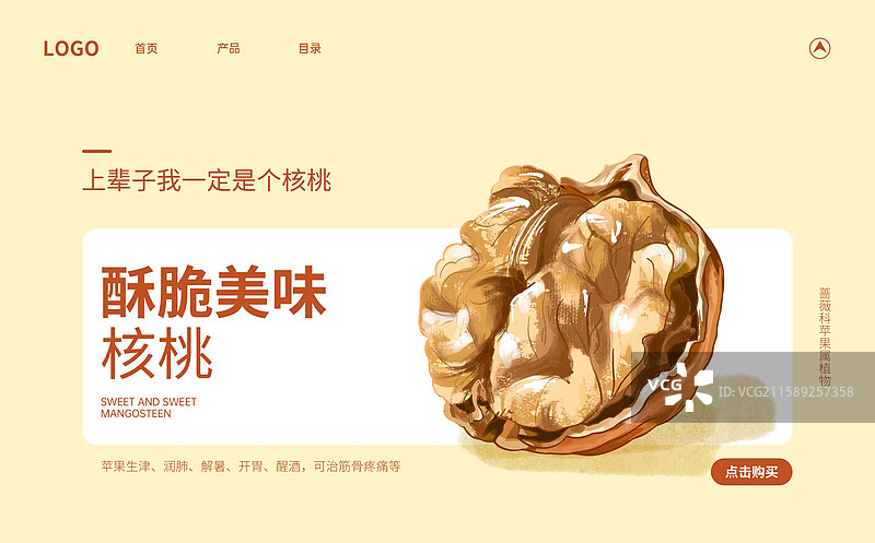 核桃插画海报设计模板图片素材