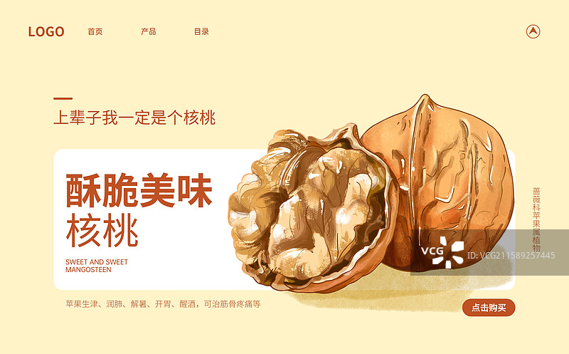 核桃插画海报设计模板图片素材